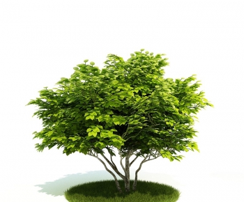 Modern Tree/shrub/grass-ID:695559591