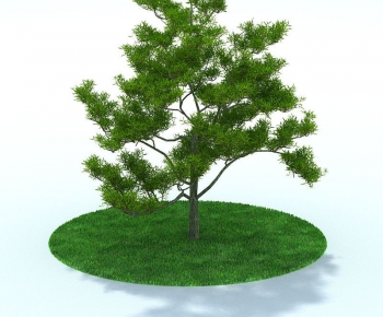 Modern Tree/shrub/grass-ID:501706619