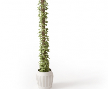 Modern Potted Green Plant-ID:378538518