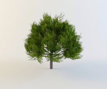 Modern Tree-ID:386186667