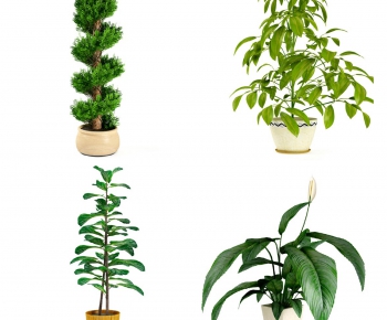 Modern Potted Green Plant-ID:277859271