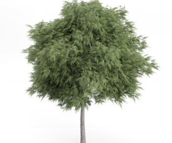 Modern Tree/shrub/grass-ID:435267412