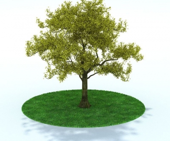 Modern Tree/shrub/grass-ID:518103561