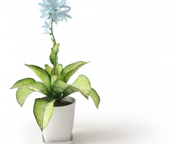 Modern Potted Green Plant-ID:531068257