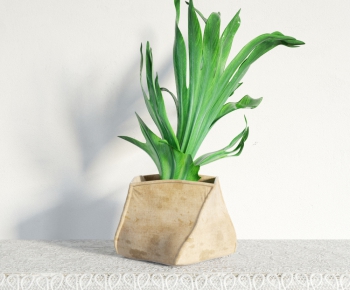 Modern Potted Green Plant-ID:415458693