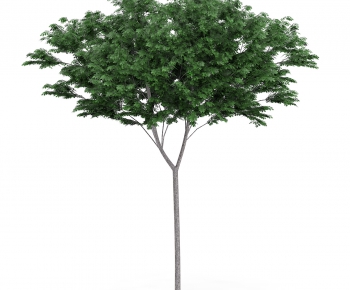 Modern Tree/shrub/grass-ID:771651816