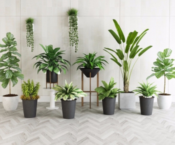 Modern Potted Green Plant-ID:408825249