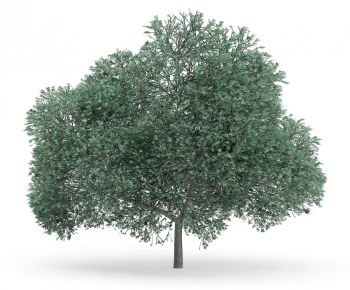 Modern Tree/shrub/grass-ID:137377945