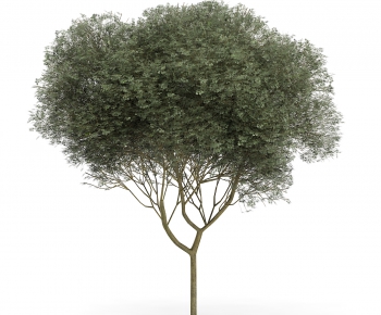 Modern Tree/shrub/grass-ID:977317997