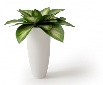 Modern Potted Green Plant-ID:523564434