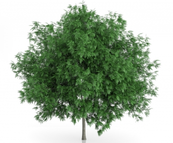 Modern Tree/shrub/grass-ID:815019643