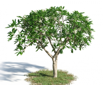 Modern Tree/shrub/grass-ID:691131836