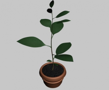 Modern Potted Green Plant-ID:270016694