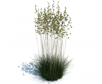 Modern Tree/shrub/grass-ID:389641137
