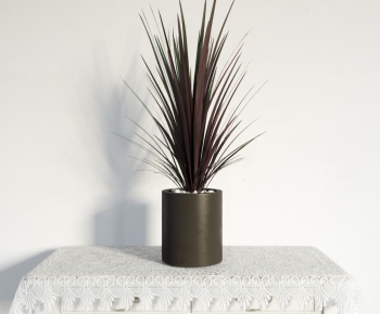Modern Potted Green Plant-ID:329275324