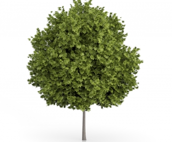 Modern Tree/shrub/grass-ID:606018894
