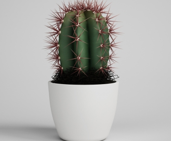 Modern Potted Green Plant-ID:440022967