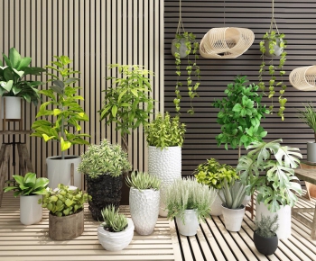 Modern Potted Green Plant-ID:794416397