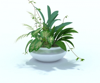 Modern Potted Green Plant-ID:450274946