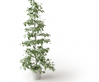 Modern Potted Green Plant-ID:478047814