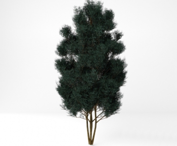 Modern Tree-ID:408580125
