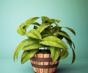 Modern Potted Green Plant-ID:859222343