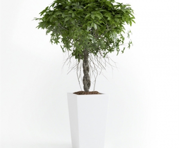 Modern Potted Green Plant-ID:679607354