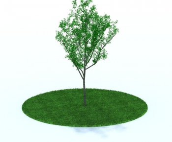 Modern Tree/shrub/grass-ID:347204643