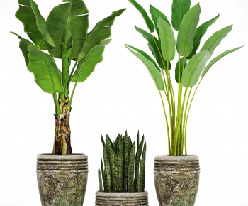 Modern Potted Green Plant-ID:630761778