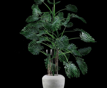 Modern Potted Green Plant-ID:342329941