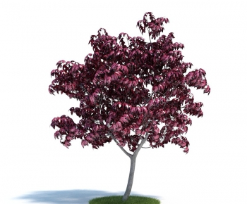 Modern Tree/shrub/grass-ID:755021986