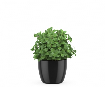 Modern Potted Green Plant-ID:763327925