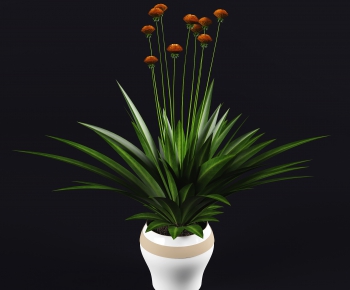 Modern Potted Green Plant-ID:346254651