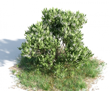 Modern Tree/shrub/grass-ID:919811157