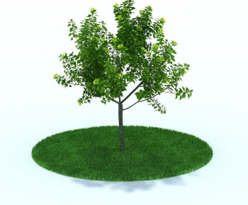 Modern Tree/shrub/grass-ID:395012199