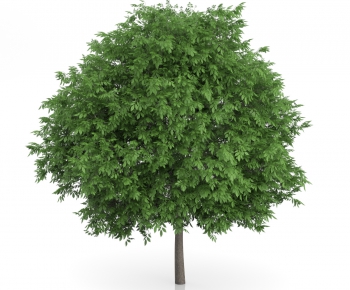 Modern Tree/shrub/grass-ID:238295645