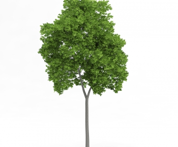Modern Tree/shrub/grass-ID:173062763