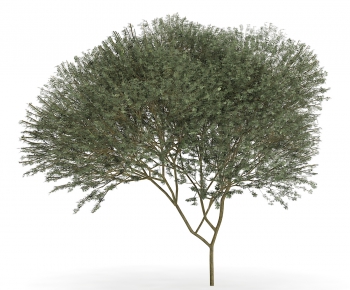 Modern Tree/shrub/grass-ID:886825687