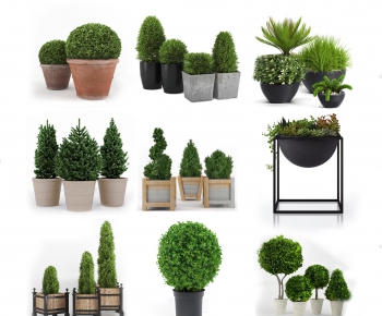 Modern Potted Green Plant-ID:393034866