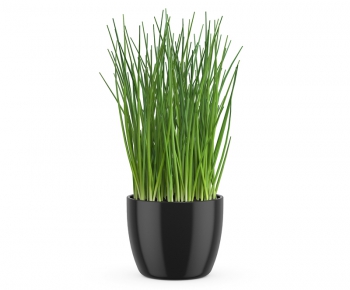 Modern Potted Green Plant-ID:427436675