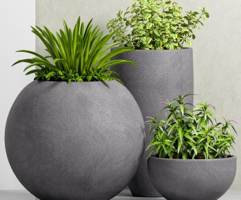 Modern Potted Green Plant-ID:412460292