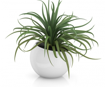 Modern Potted Green Plant-ID:342276522