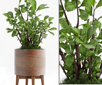 Modern Nordic Style Potted Green Plant-ID:805842546