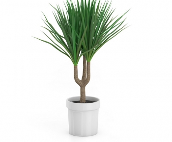 Modern Potted Green Plant-ID:590546379