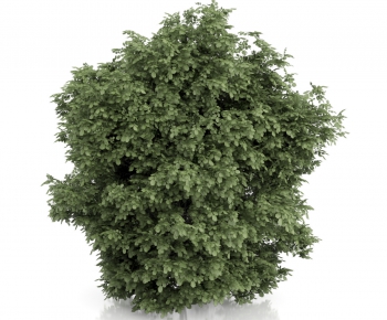 Modern Potted Green Plant-ID:241833671