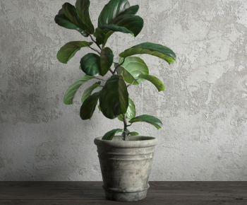 Modern Potted Green Plant-ID:853301541