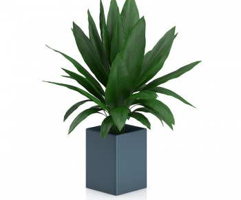 Modern Potted Green Plant-ID:228362113