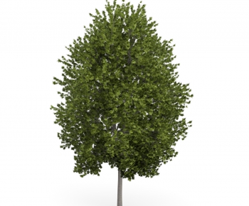 Modern Tree/shrub/grass-ID:223695343