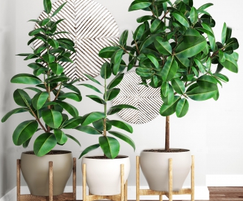 Modern Nordic Style Potted Green Plant-ID:420024627