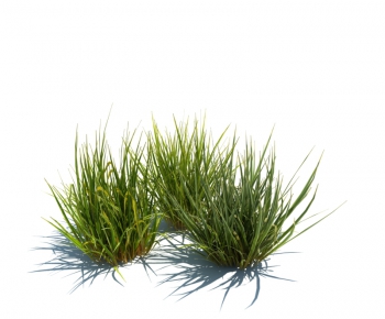 Modern Tree/shrub/grass-ID:835381315